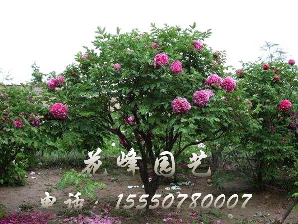 戳我试试
