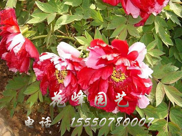 戳我试试